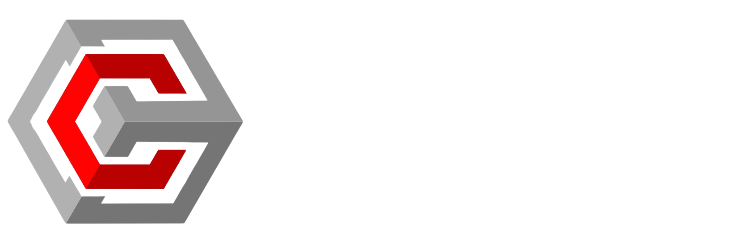 Chain Matrix Logo Horizontal Left